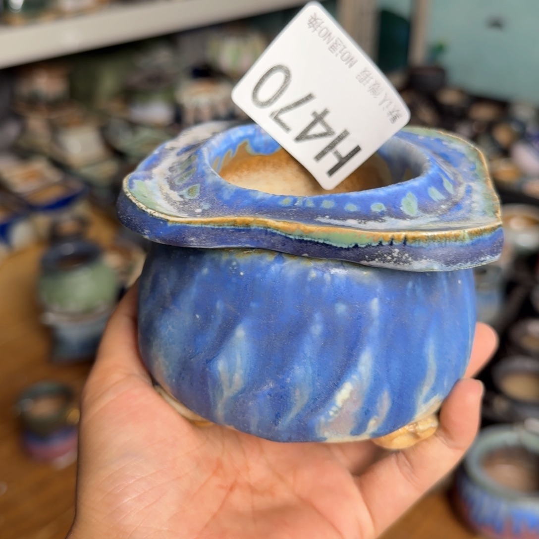 重庆小小燕子欢迎大家470