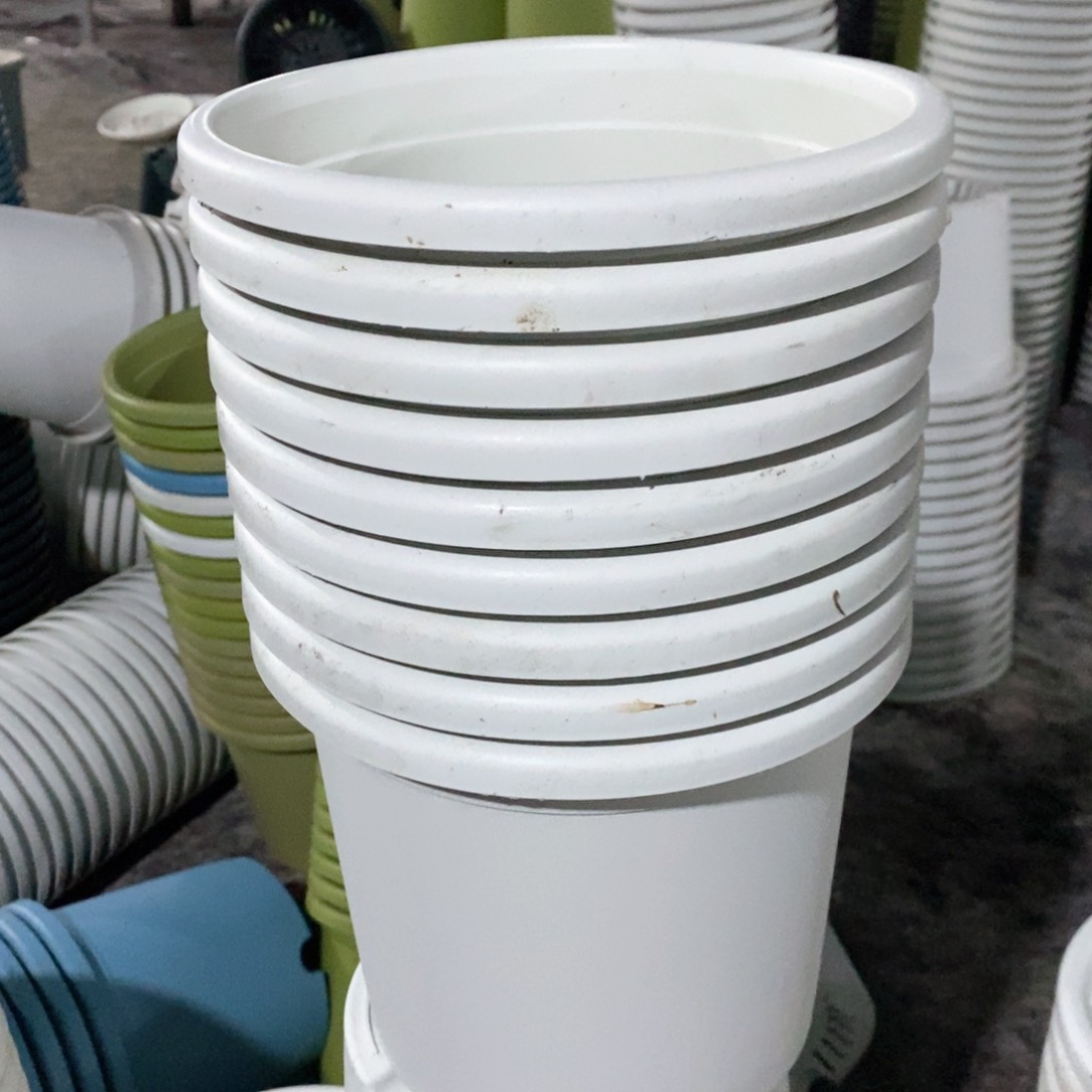 10个21口奶白落灰无托伊特（21×17.8）