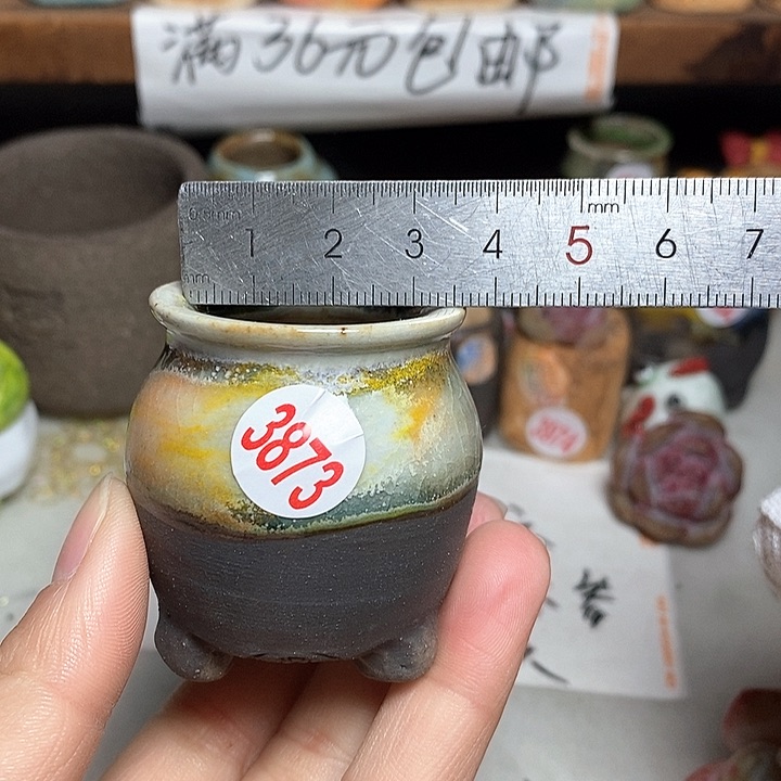 红陶拍5送一个小