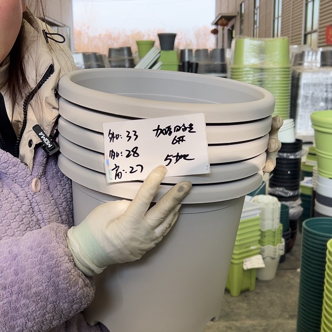 四季盆6#灰白5个无托