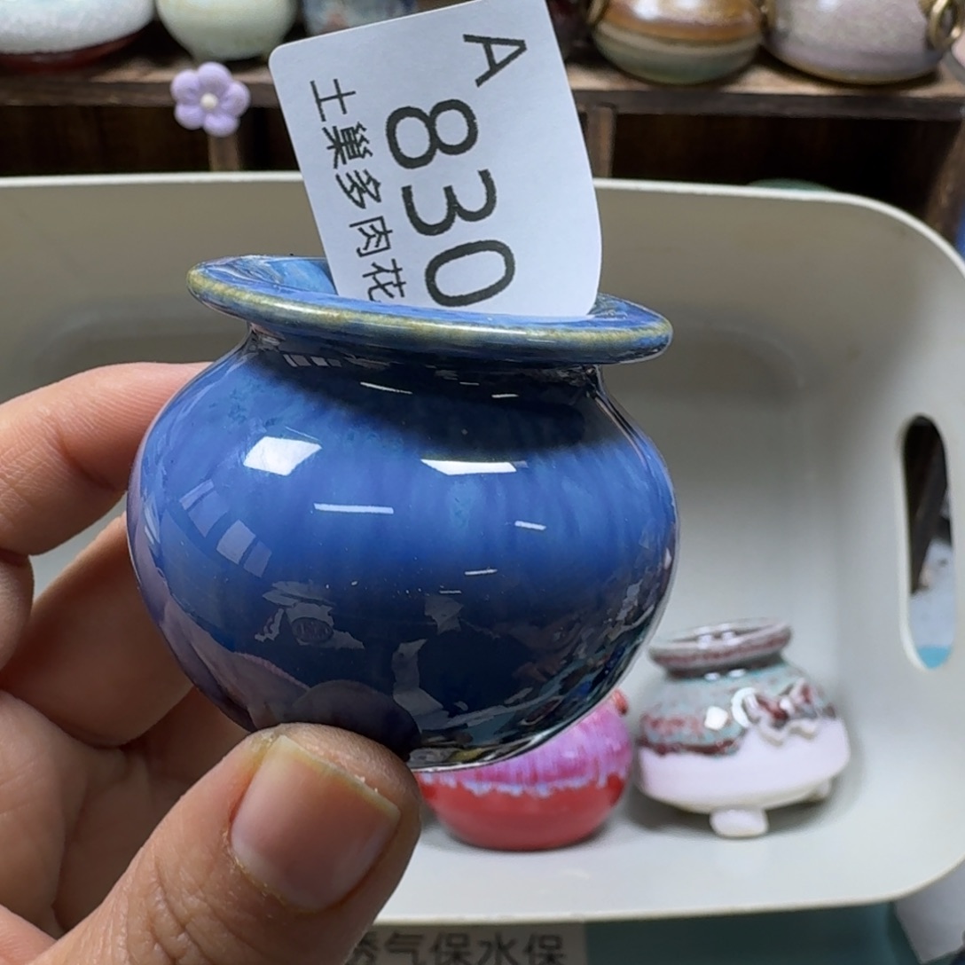 花***语陶瓷艺术品设计与制作