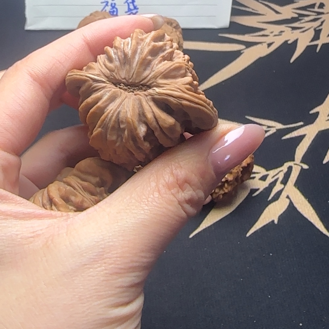 魏***）大叶紫檀（黑酸枝木类）