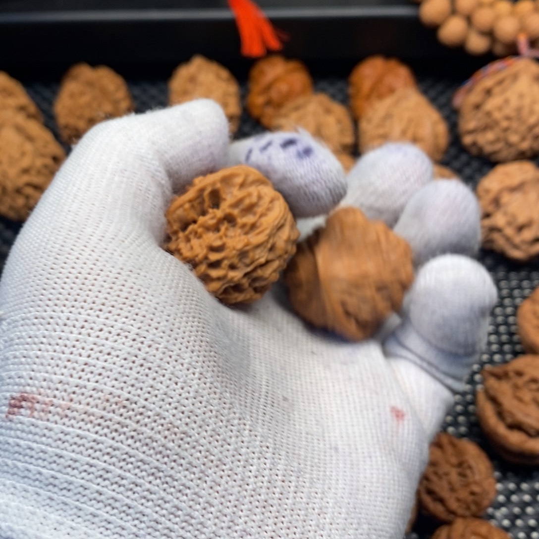 秦岭野生小金豆文玩核桃