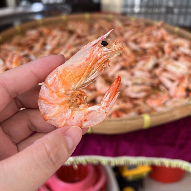 自晒汕尾本港温虾（中号虾干）鲜甜