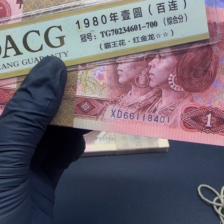 力*XD66118401一刀一刀一刀