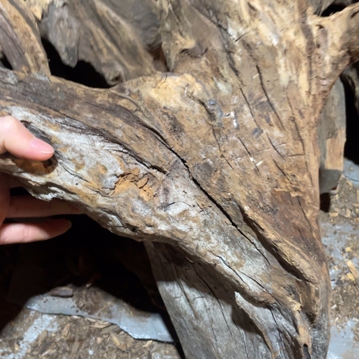 清***在贡木把件感谢大家