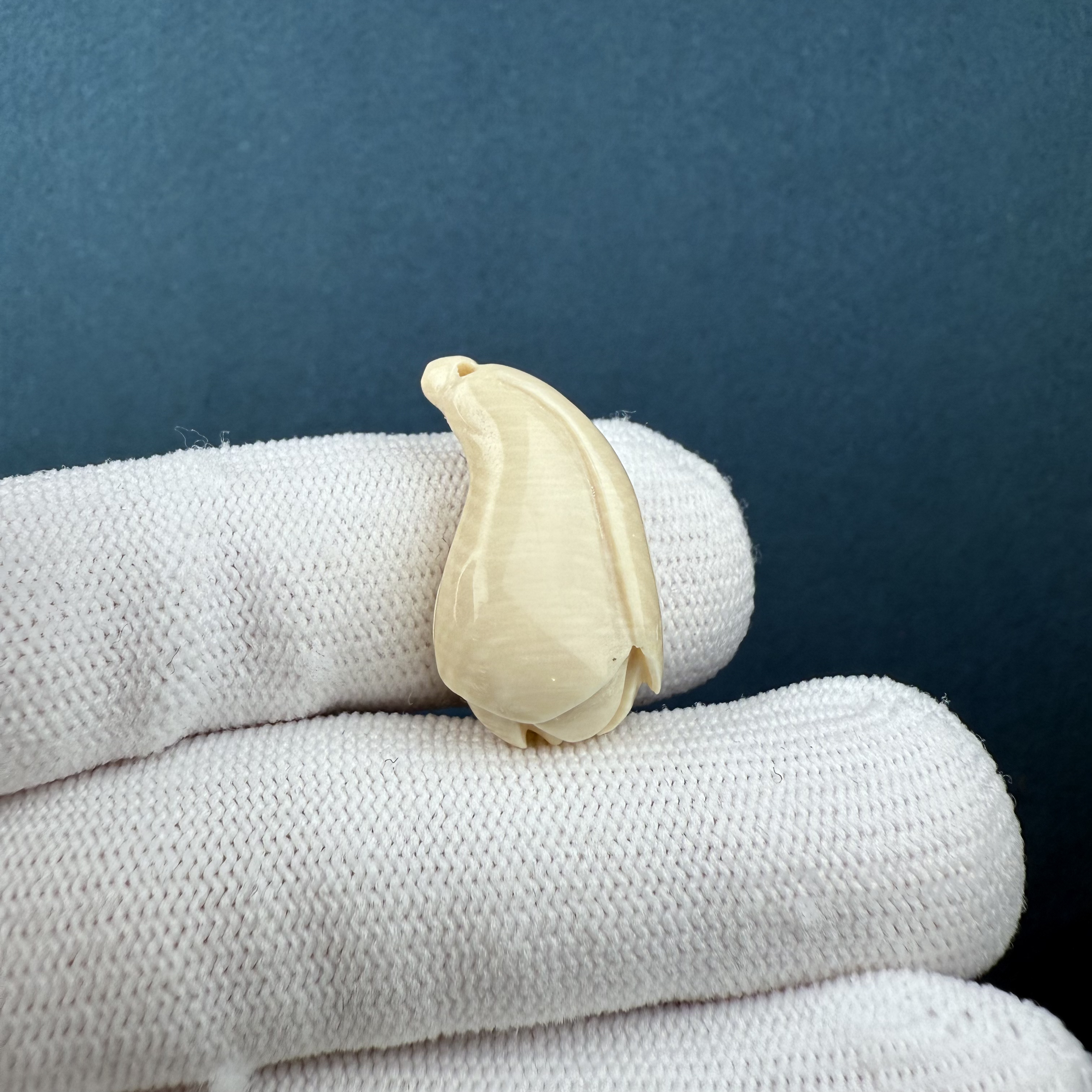 K3354天然猛犸牙玉兰花14*25mm支持复检假一罚十