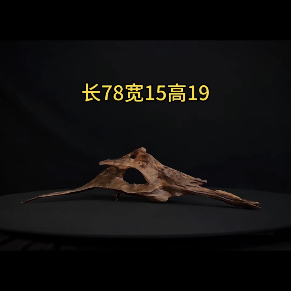 张大狼造景沉木长78cm镂空趴缸 南美鱼缸造景 紫柚木秒沉