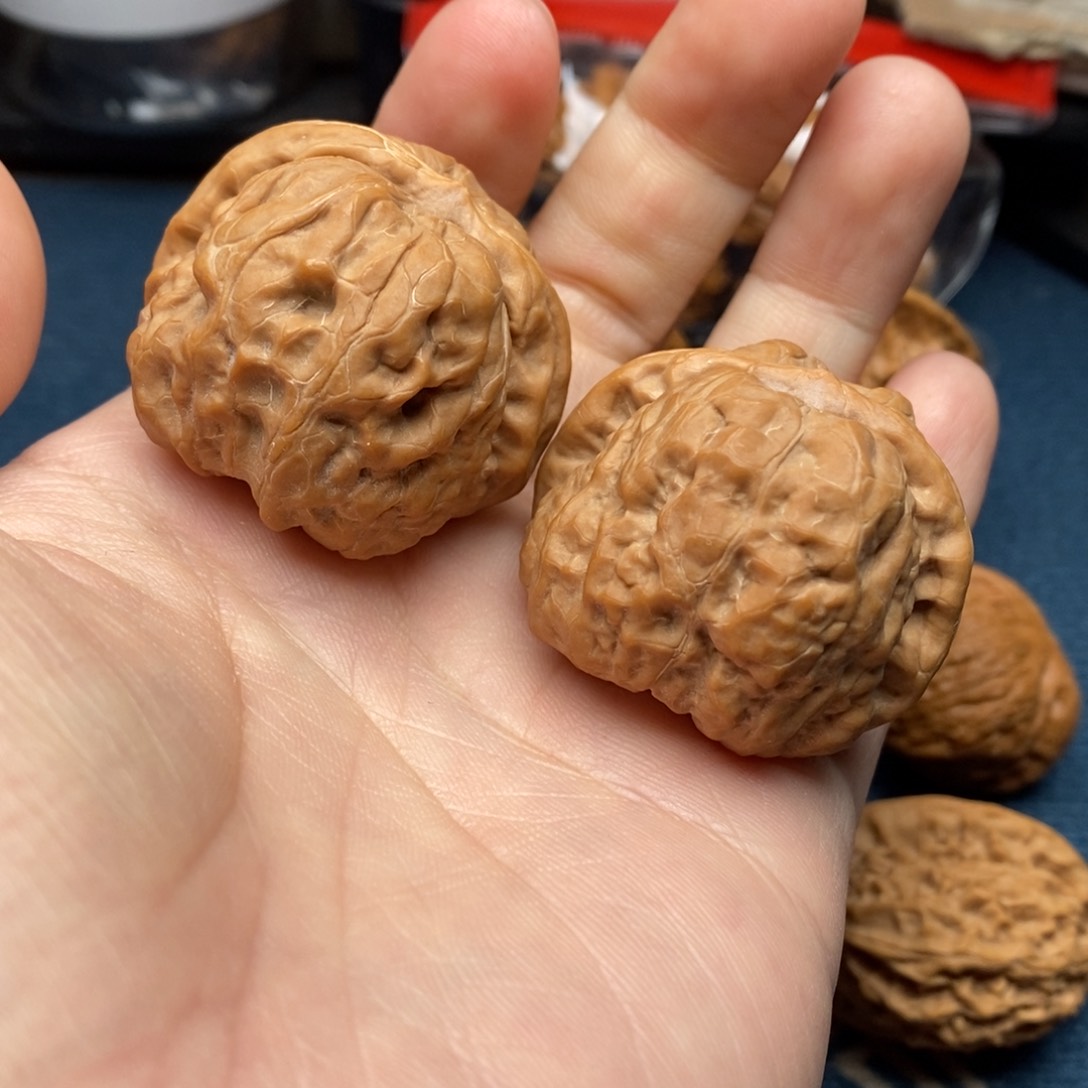 核桃把件三九蛤蟆头