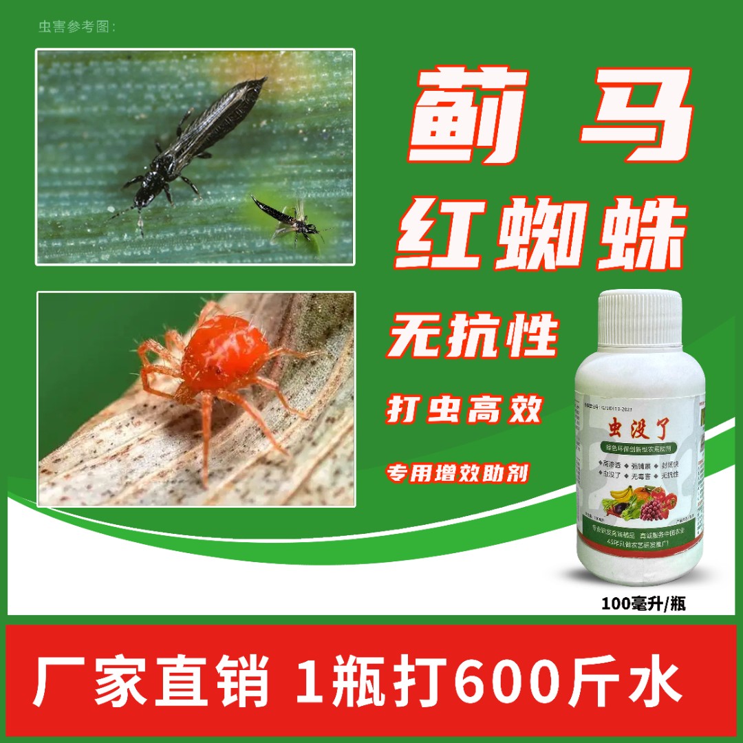【虫没了】抗性蓟马、红蜘蛛、蚜虫、白粉虱农作物通用助剂~对600斤水