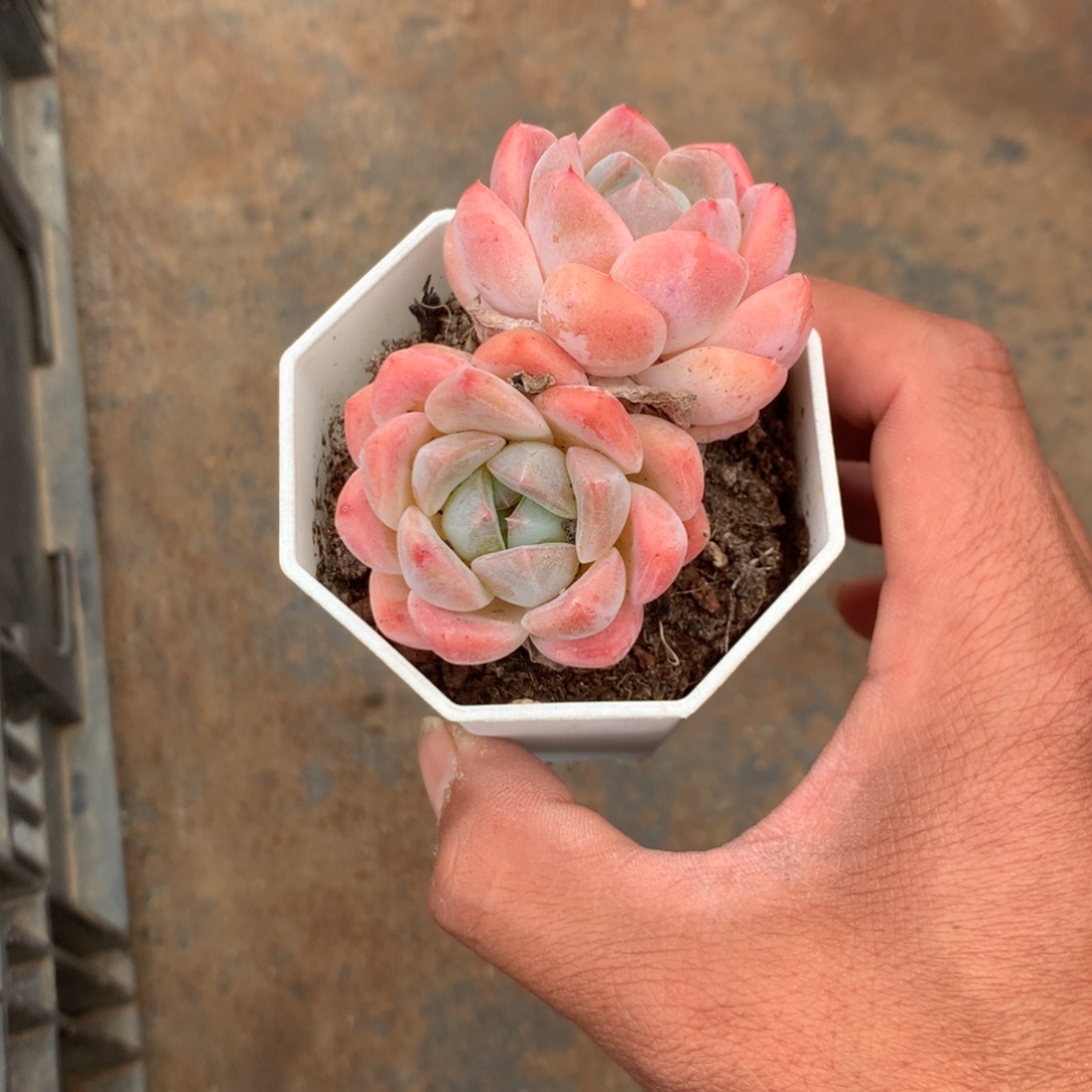 风****人工增水系统在国内已经应用