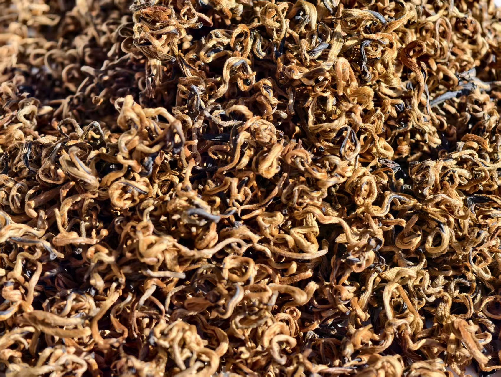 2025年 凤庆特级红茶