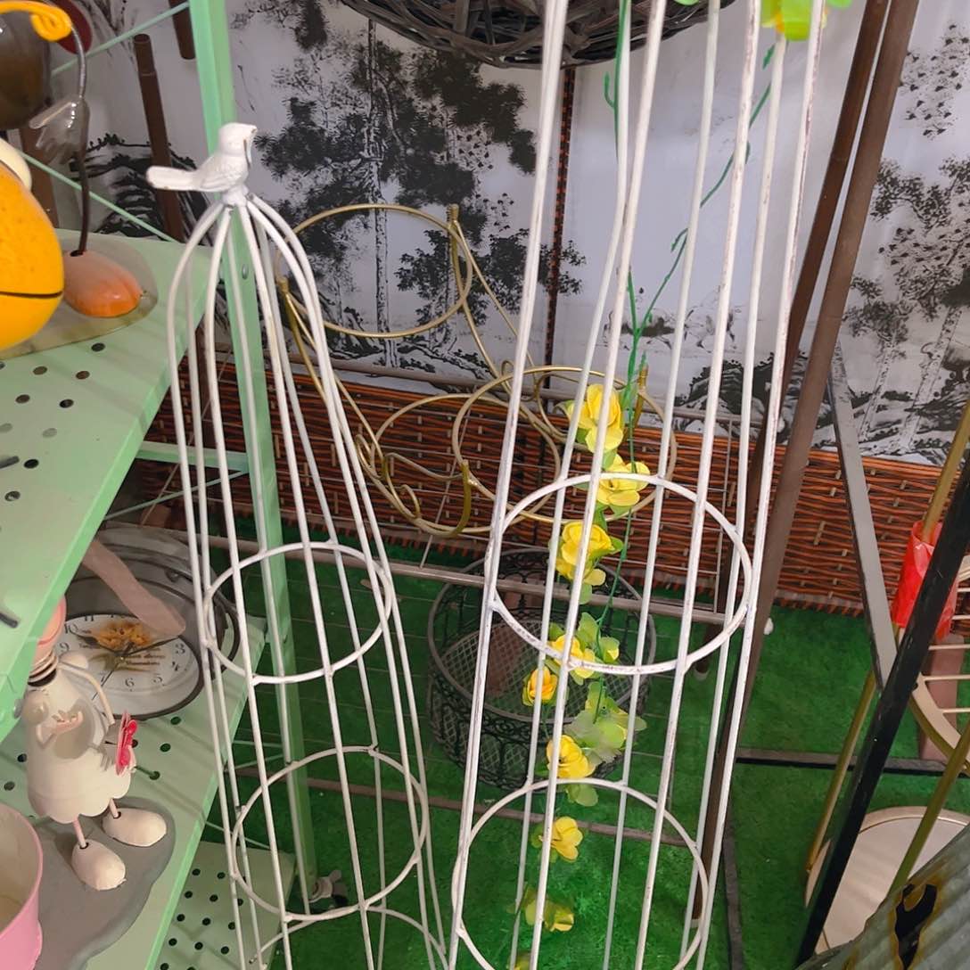 红陶健健康康快快乐乐平平安安