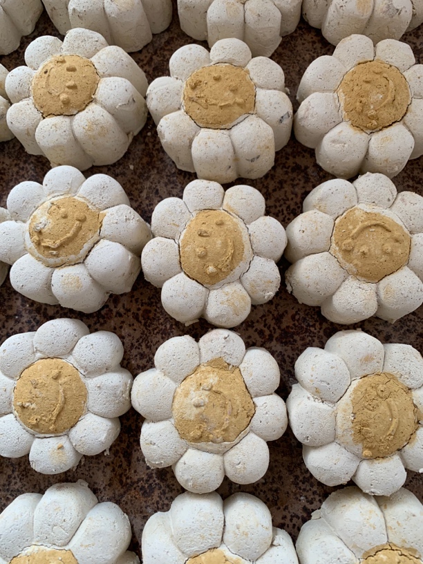 烟熏土 太阳花（非可食用）异食专属