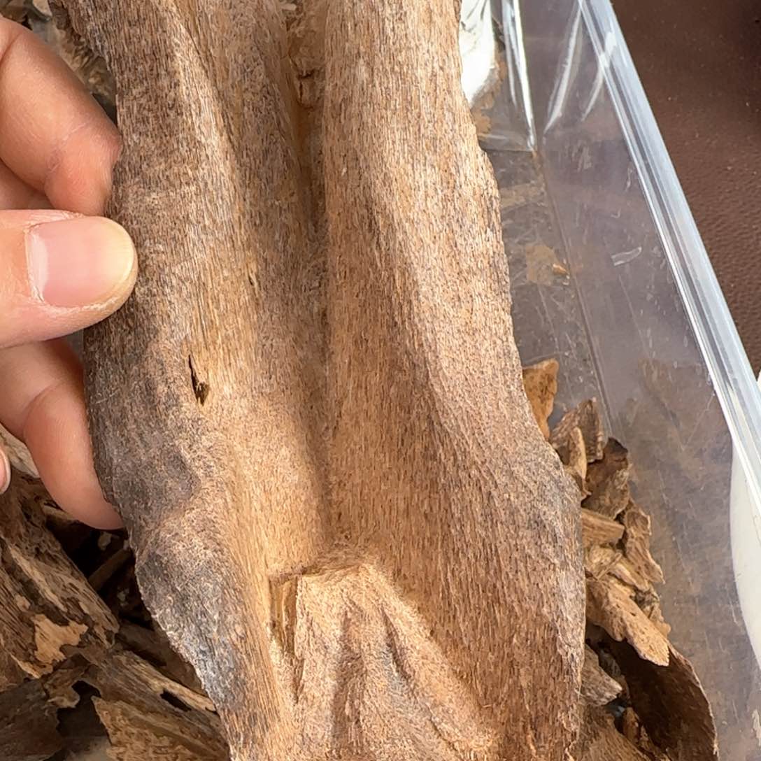 沉香摆件香港沉香野料壳子料20克