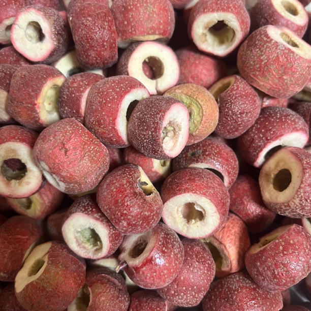 精选去核冻干山楂