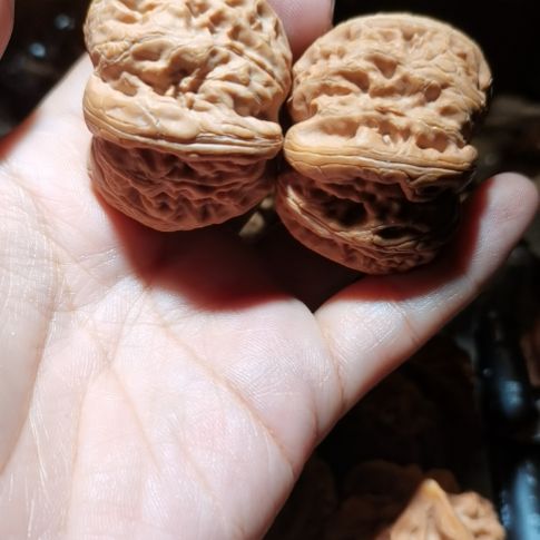 猴头核桃吊坠43元宝