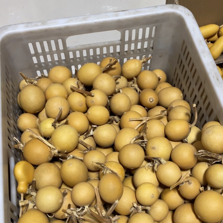 寒***影就哈哈哈哈哈哈哈哈