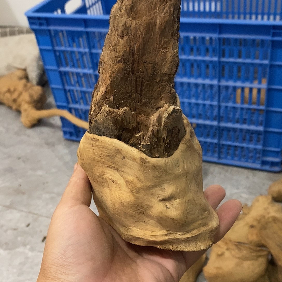 道***行荔枝木荔枝木原料