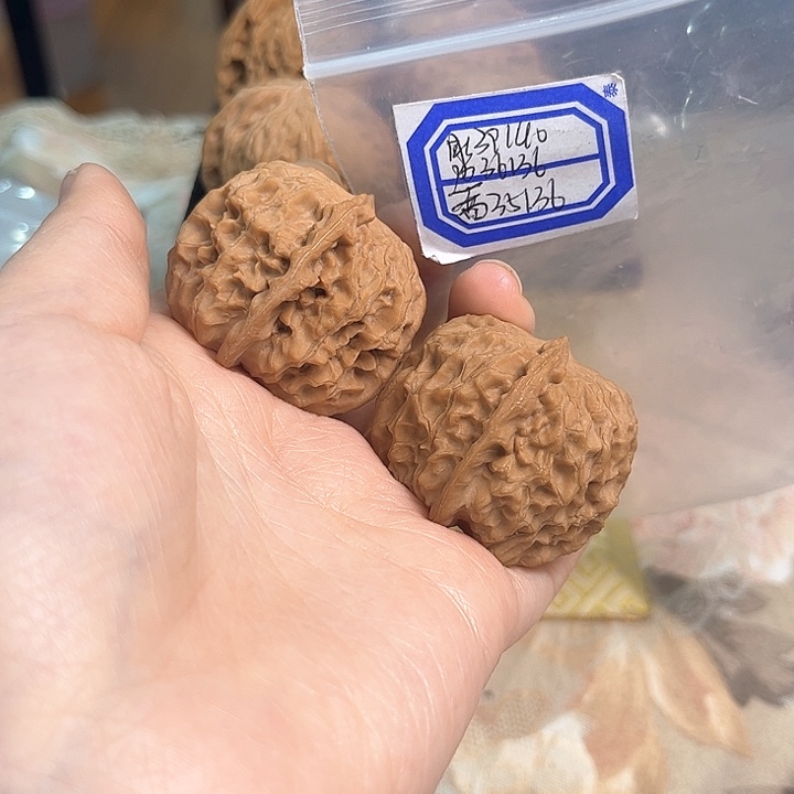 文玩核桃把件非嫁接元宝