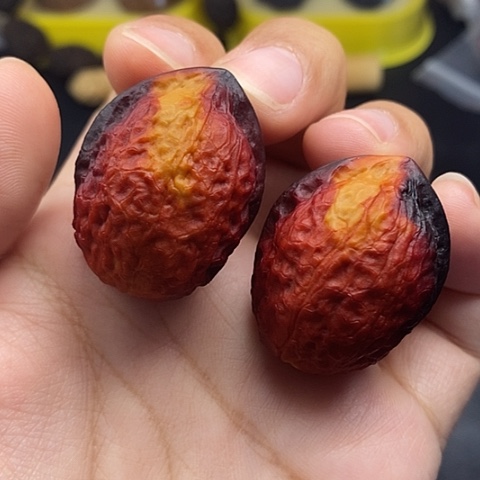 文玩核桃把件32尺蟒纹龙蛋