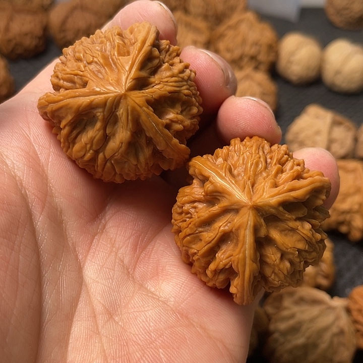 㞢***㔫把件文玩核桃御龙粗筋三棱核桃