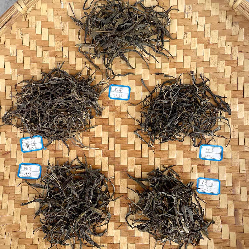 缅华古树冰岛五寨品鉴装地界南迫坝歪糯伍冰岛老寨普洱生茶散茶