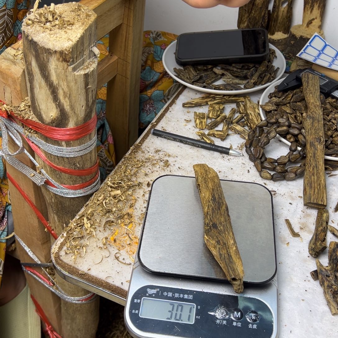 线香奇楠虫漏香30克