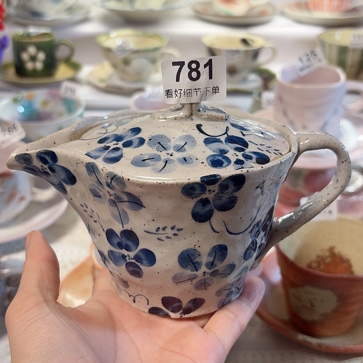 瓷片一个青花的壶
