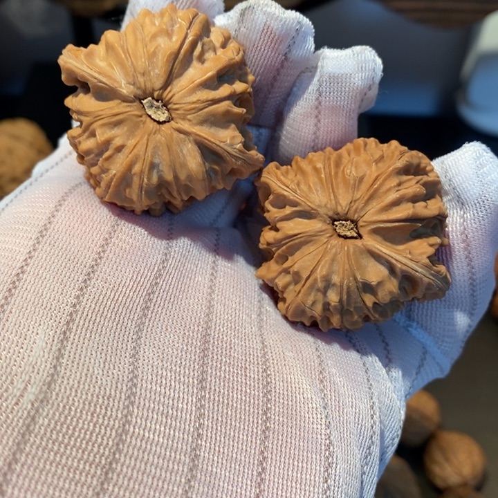 桃核吊坠背****冲40尺寸磨盘
