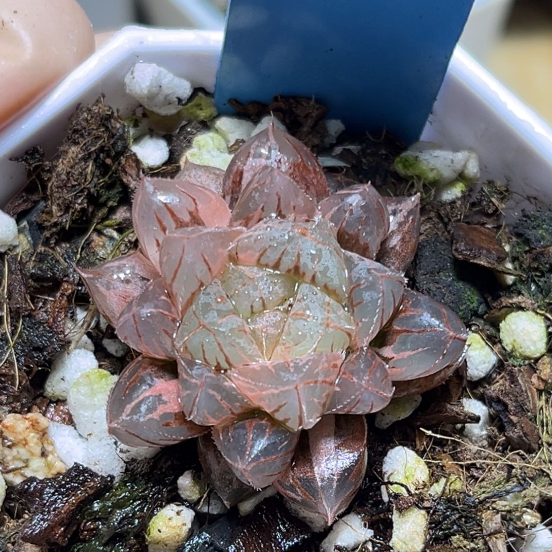 恭喜发财大吉大利713