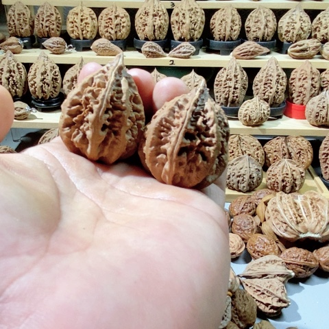 文玩核桃把件你**！核桃