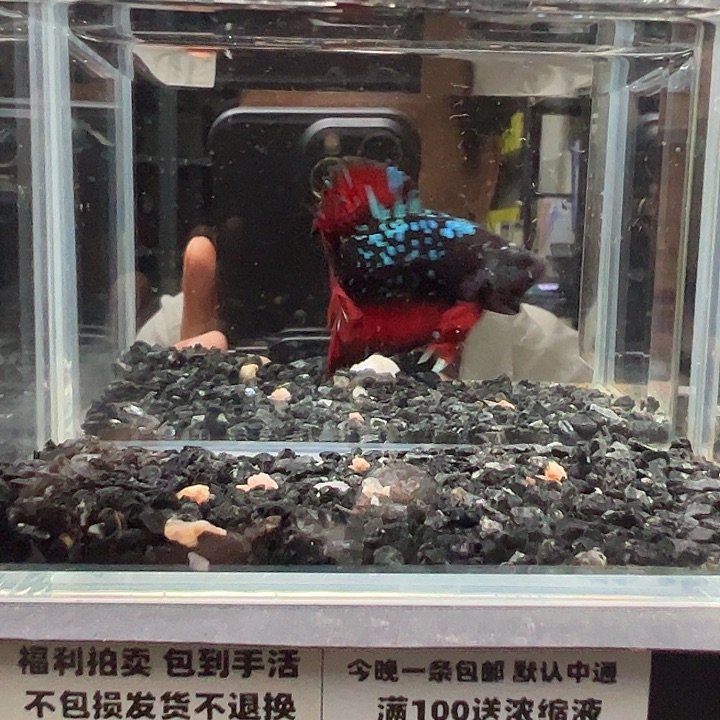 斗鱼跑单拉黑14日87