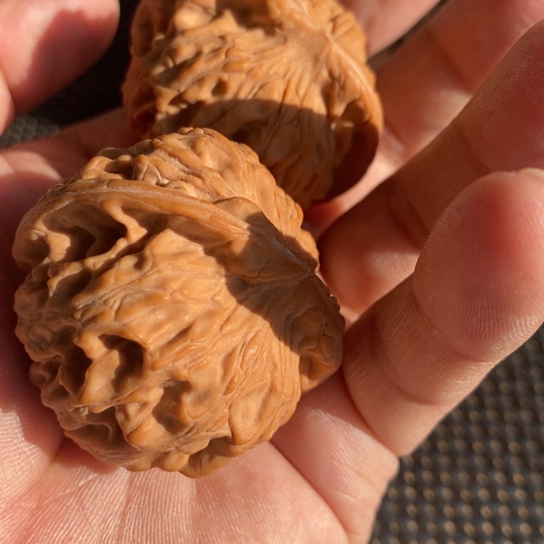 李***、大叶紫檀（黑酸枝木类）天地