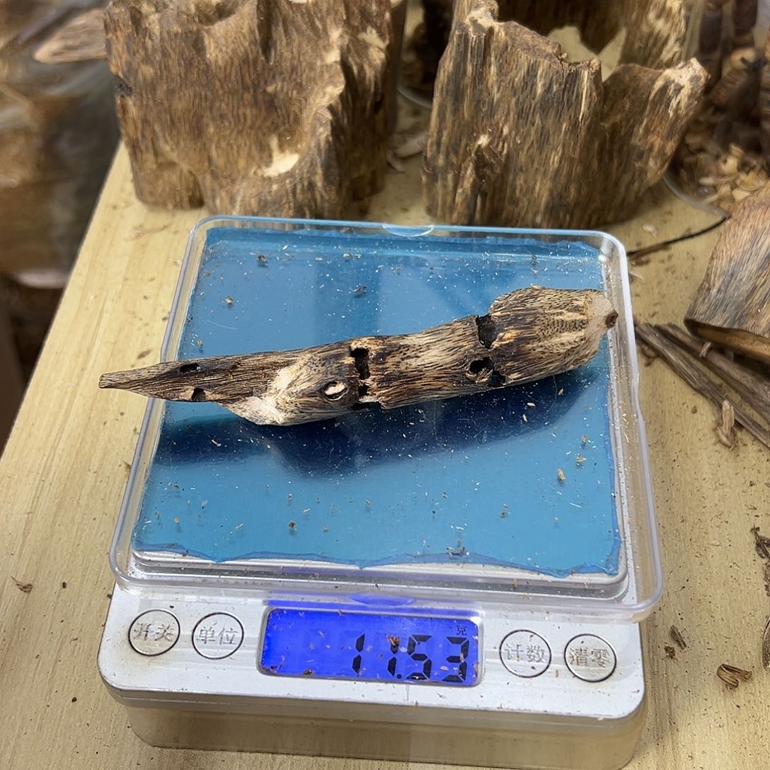 香料绿奇楠虫漏11克张勺子
