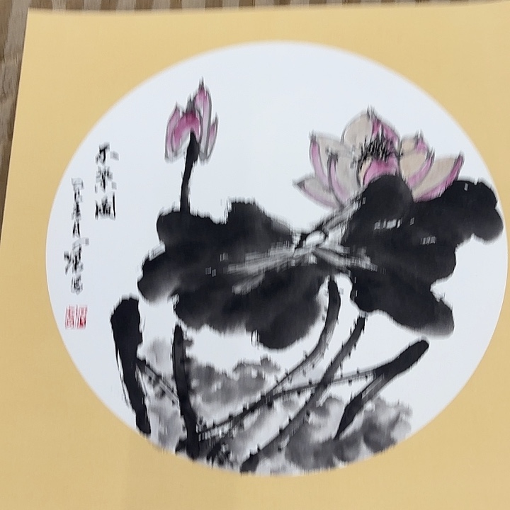 国画花鸟等多种鸟类的栖息地和栖息地