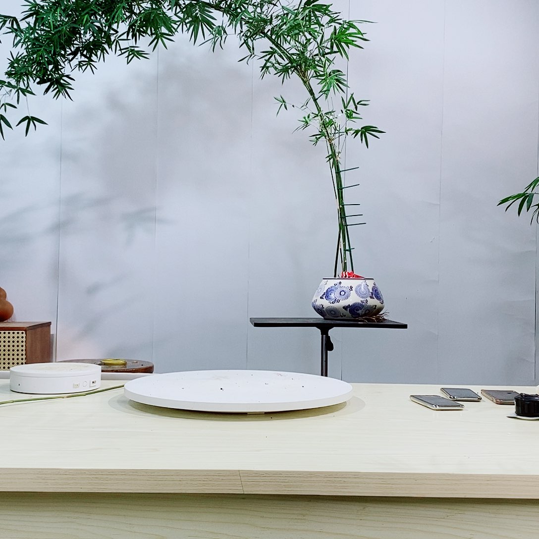 不开花植物周***神绿观音竹