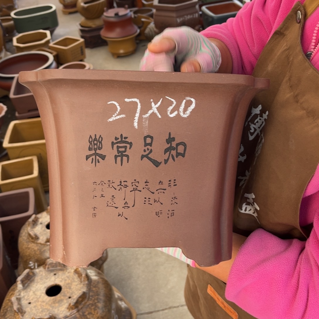 花盆紫砂盆景艺术
