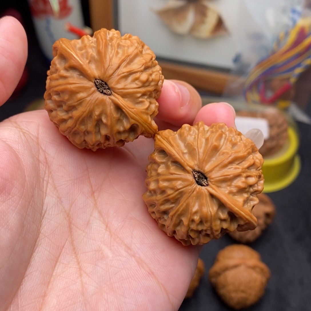 文玩核桃把件39金牛