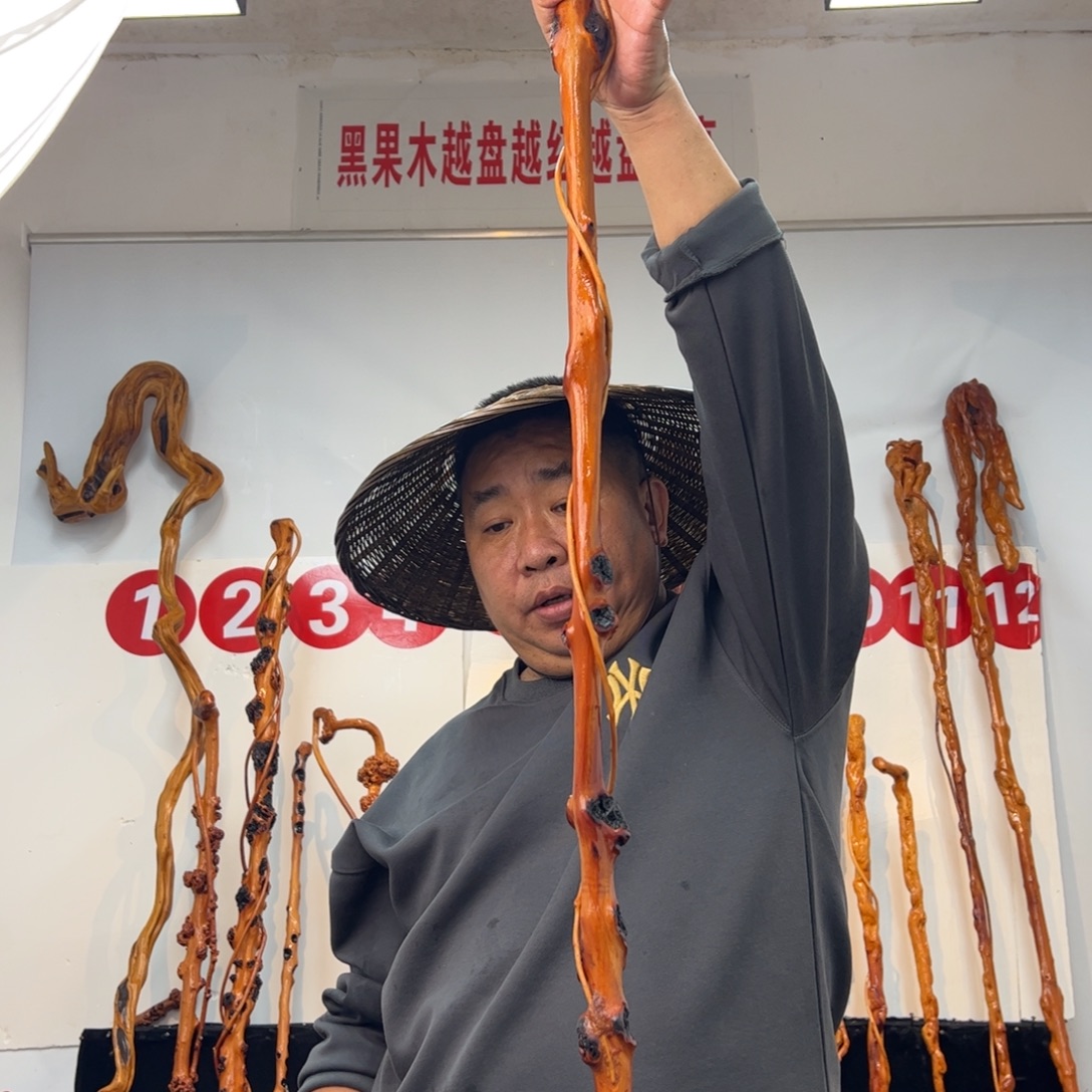 单***鸡黑果木其他黑果木694