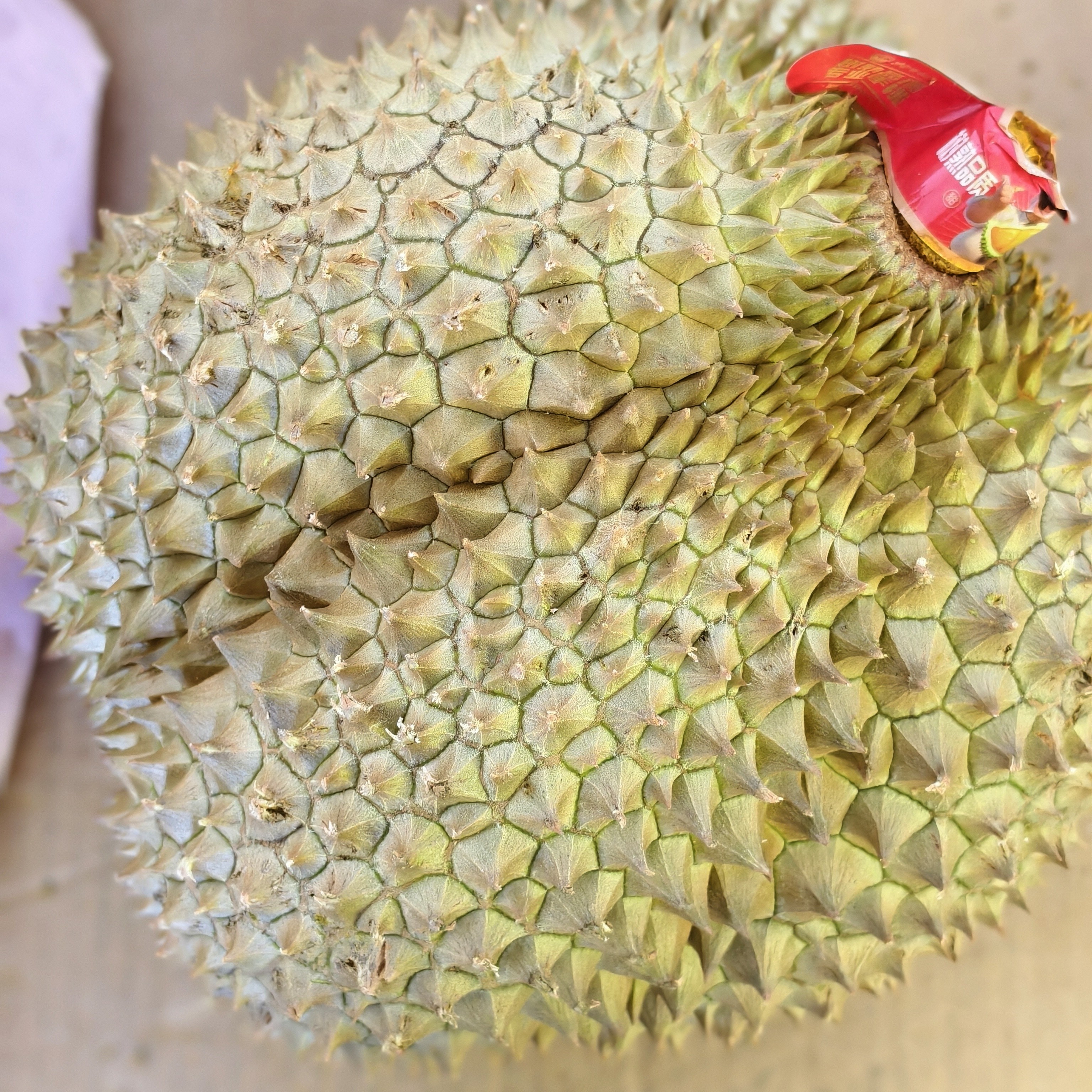 泰国金枕树上熟鲜榴莲/核小/1880克金枕泰国