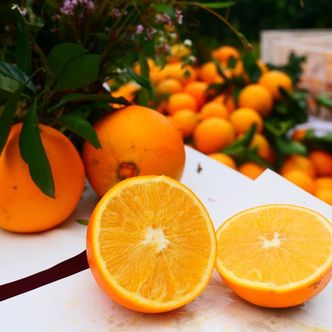 【顺丰包邮】正宗赣南信丰脐橙新鲜现摘清甜多汁应季水果