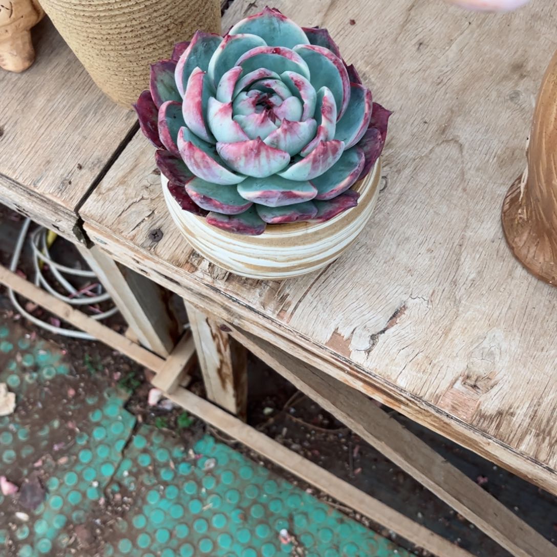 你是否有时间来看看我们呢…