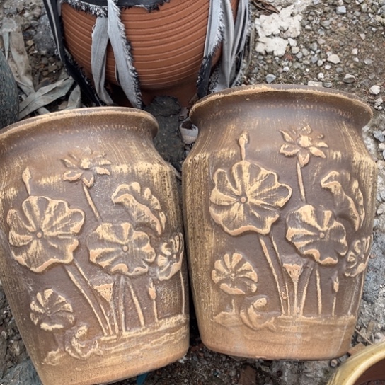 红陶口18高24正品