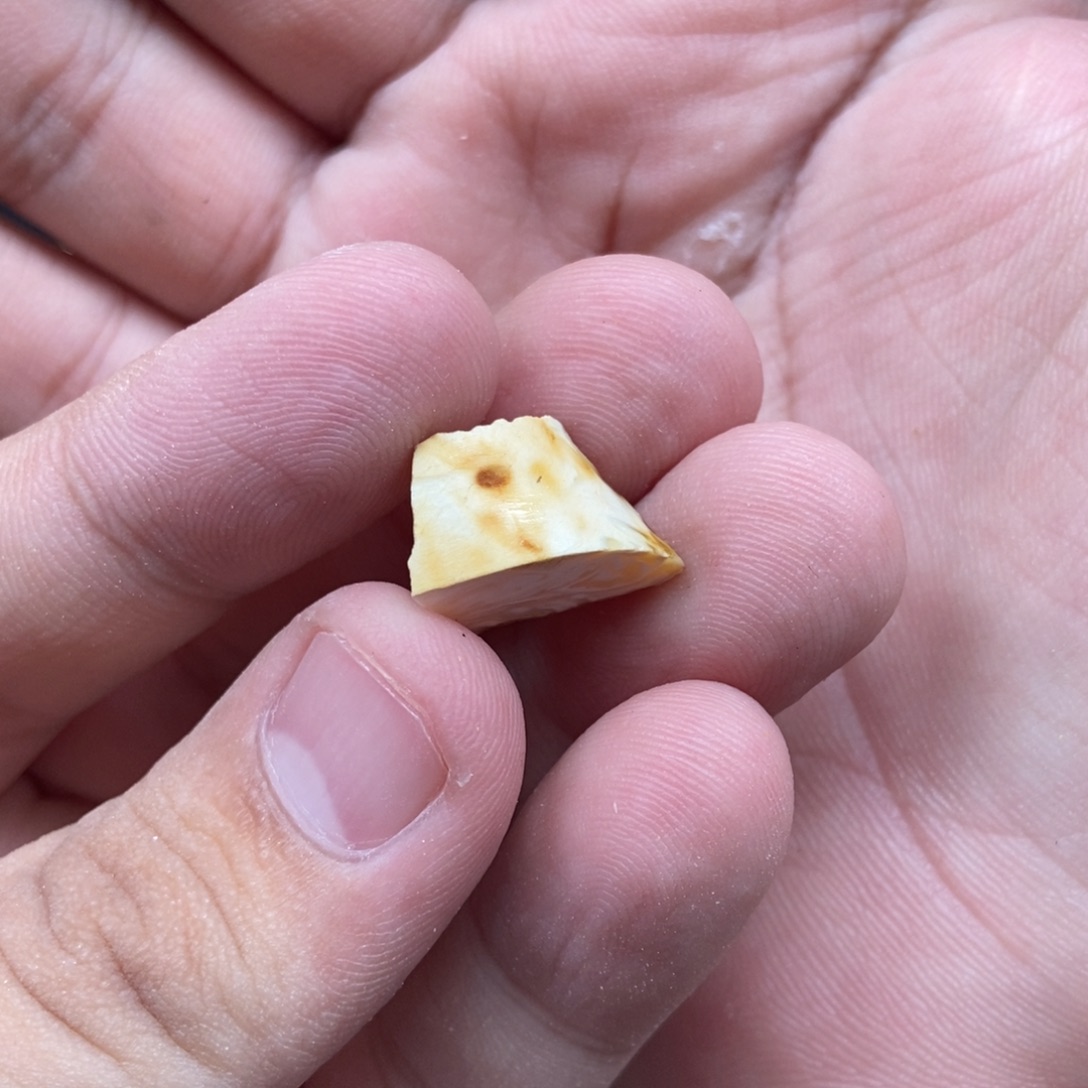 M***.未镶嵌定制琥珀定制