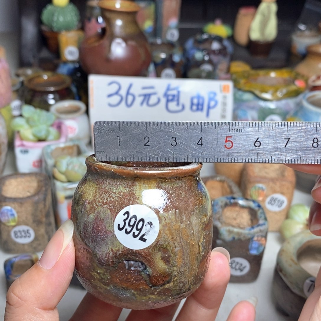 拍5送一个小礼物