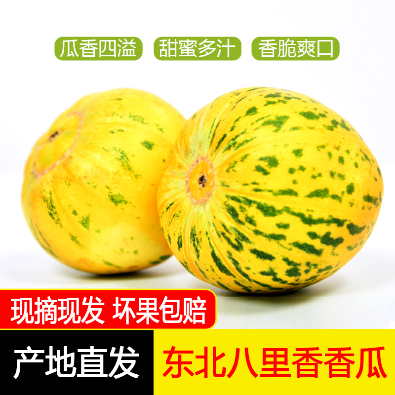 东北八里香瓜花姑娘瓜新鲜脆甜可口应季甜瓜头茬3/5斤包邮