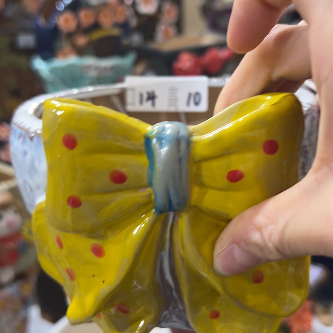 满20米飞秒退拉黑多肉花盆