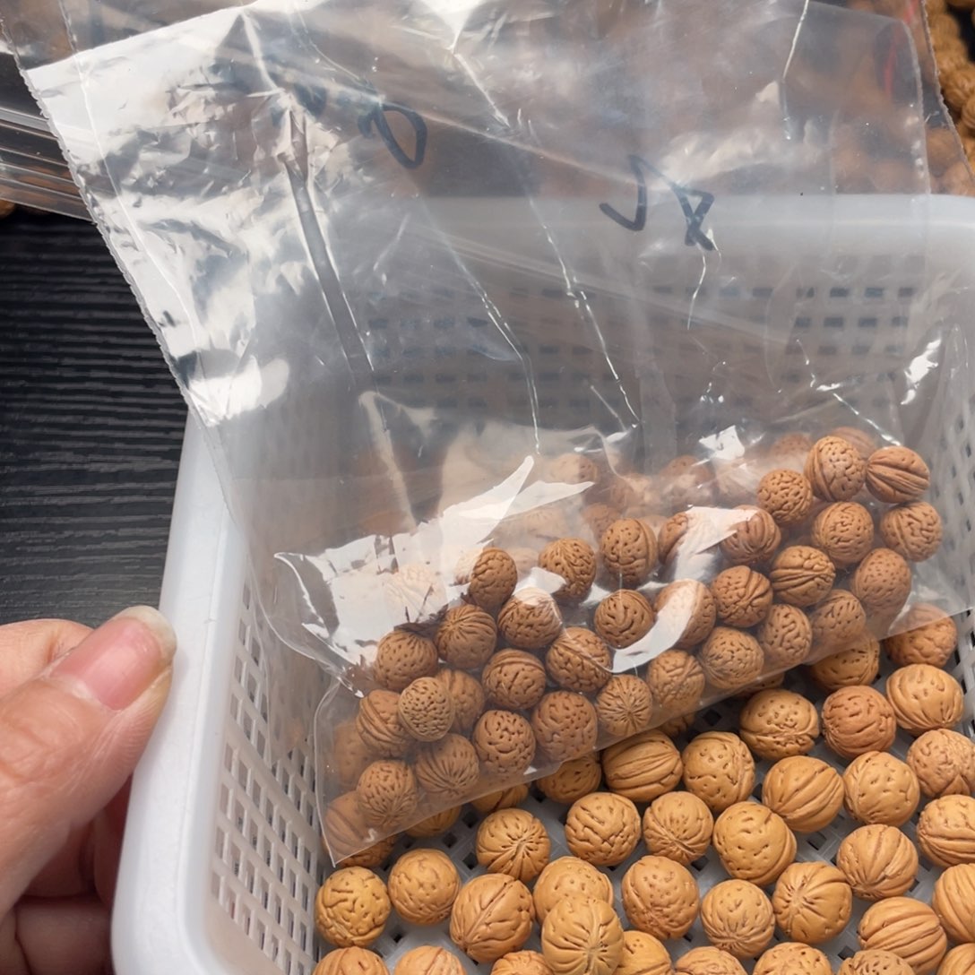 【闪购商品】青***丈散子发货30米