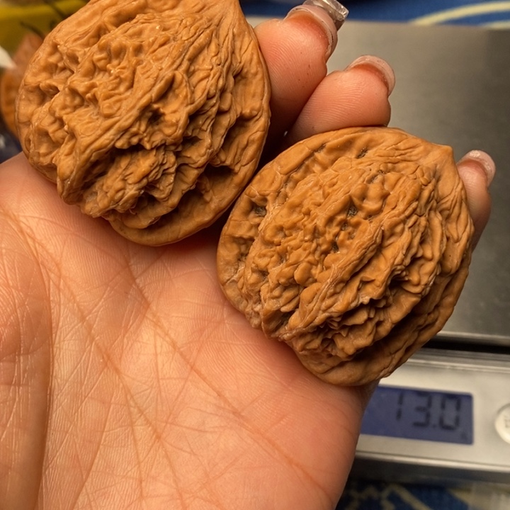 吊坠桃核虎头40全品